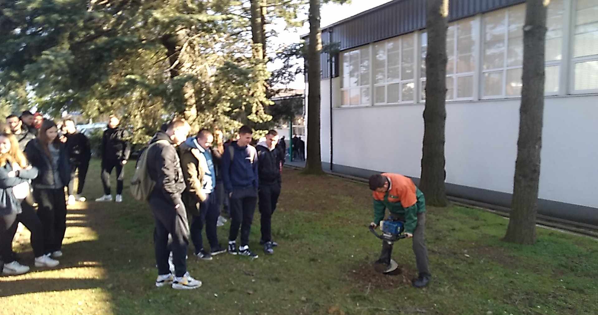slika sadnja 1