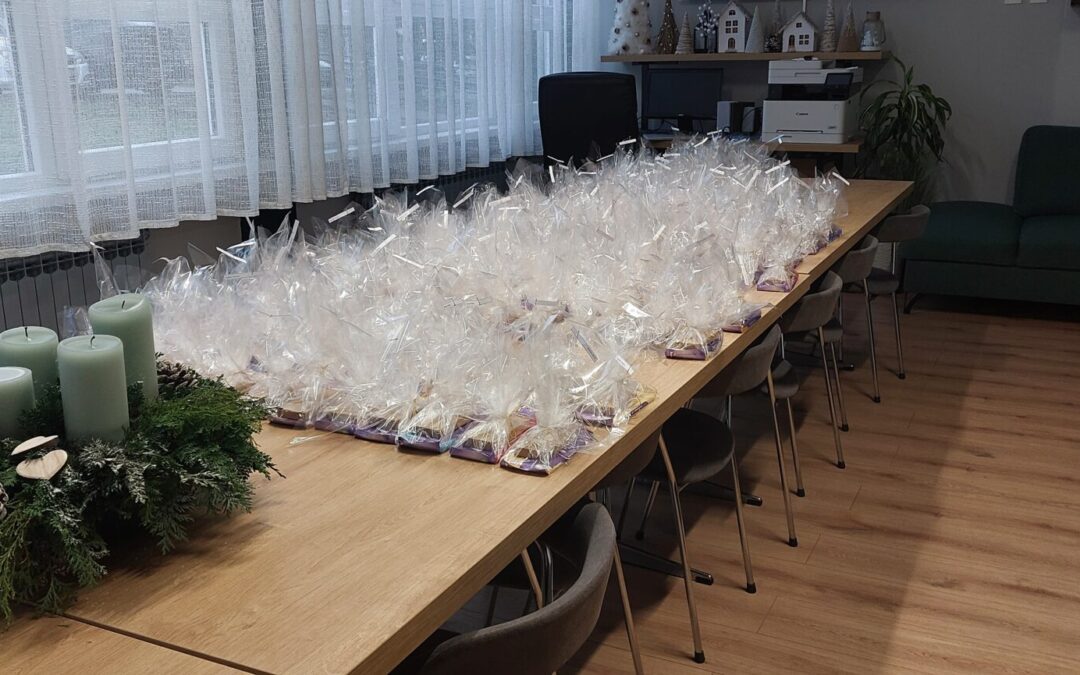 Božićni domjenak za djelatnike škole