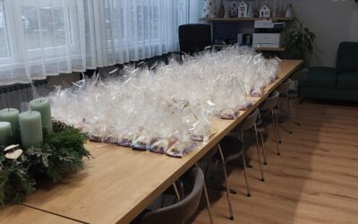 Božićni domjenak za djelatnike škole