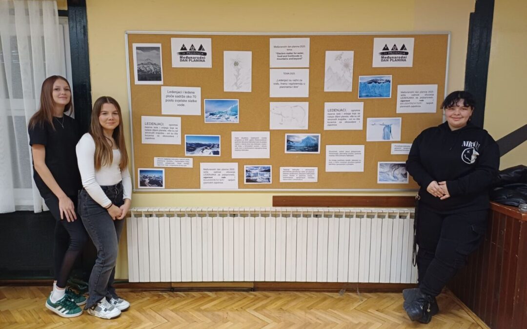 Međunarodni dan planina